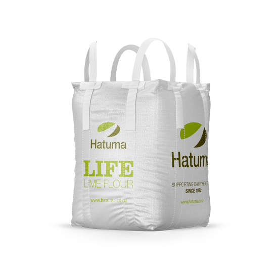 custom printed bulk bag
