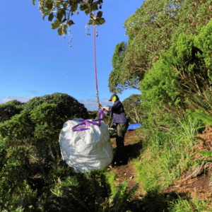 Cleaning up the islands