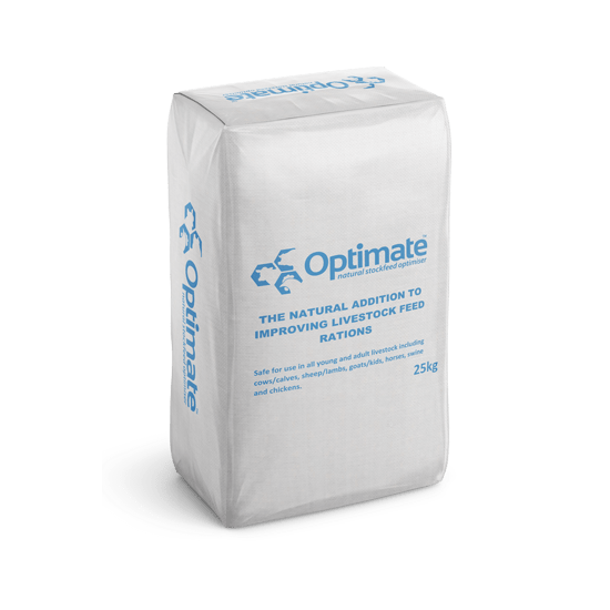 main_feature_image_wpp_valve_bag-center